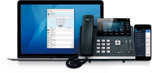 MetaCentrex - Solution de téléphonie IP